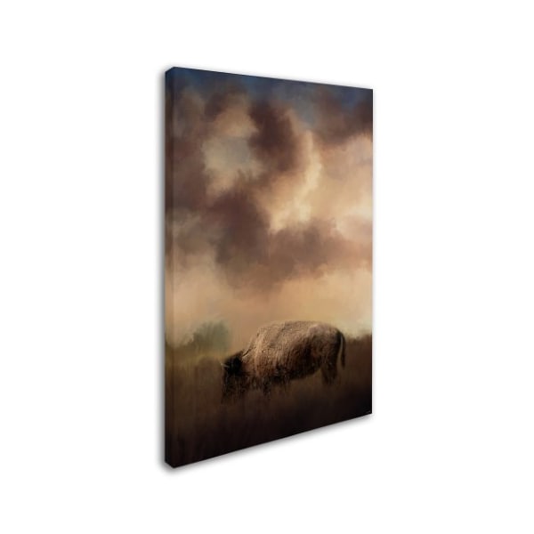 Jai Johnson 'Bison Grazing At Sunrise' Canvas Art,12x19